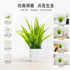 Succulent plant potted green plants, indoor landscape gardening decoration, creative bonsai, handcrafted succulent combination potted plants Application Scenario